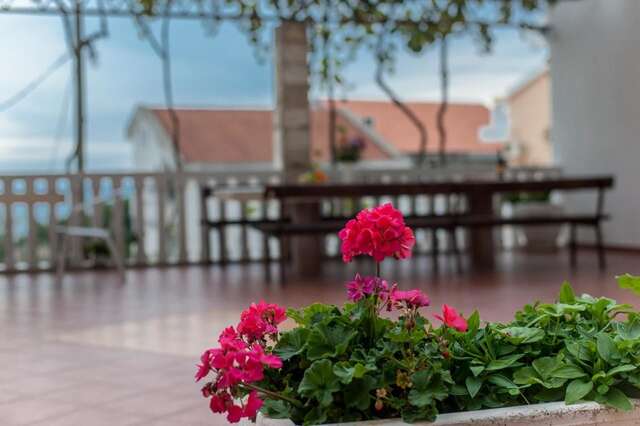 Виллы Vila Vukotić Петровац-16