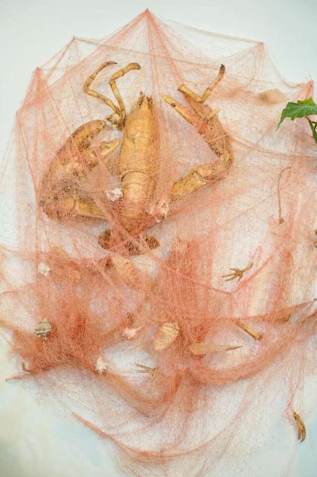 Виллы Vila Vukotić Петровац-24